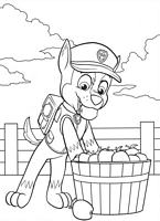 kolorowanki Psi Patrol do wydruku piesek Chase w sadzie z jabłkami nr  2